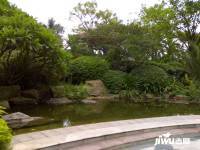 佛山东海花园实景图图片