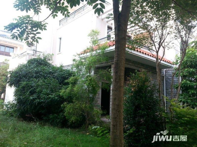 鸿升世纪东方城别墅实景图图片