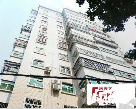 共建市场实景图图片