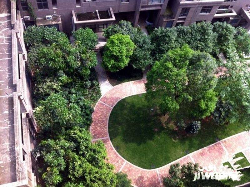 金世界花园商铺实景图图片