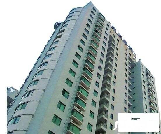 茉莉花开实景图图片