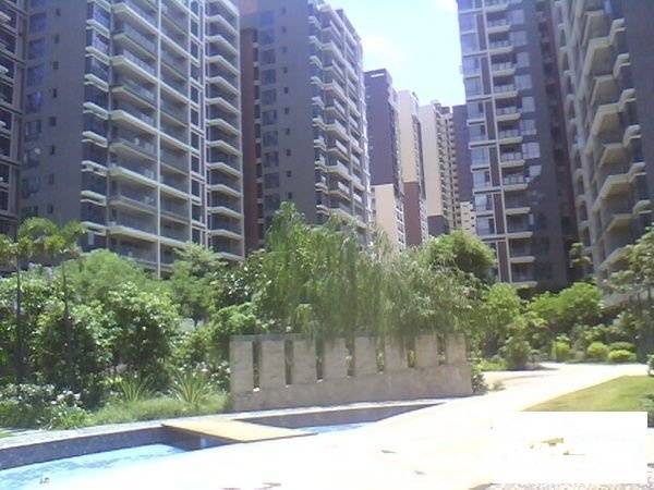 双城国际商铺实景图图片