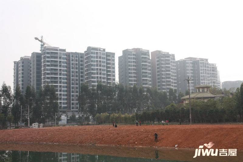 双城国际商铺实景图图片