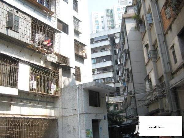 阳光100商铺实景图图片