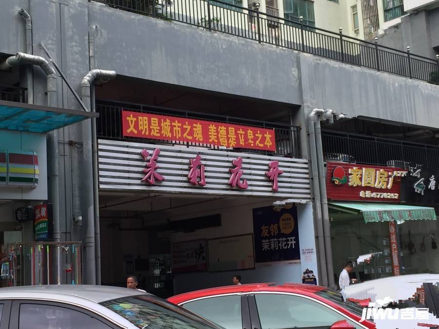 茉莉花开实景图图片