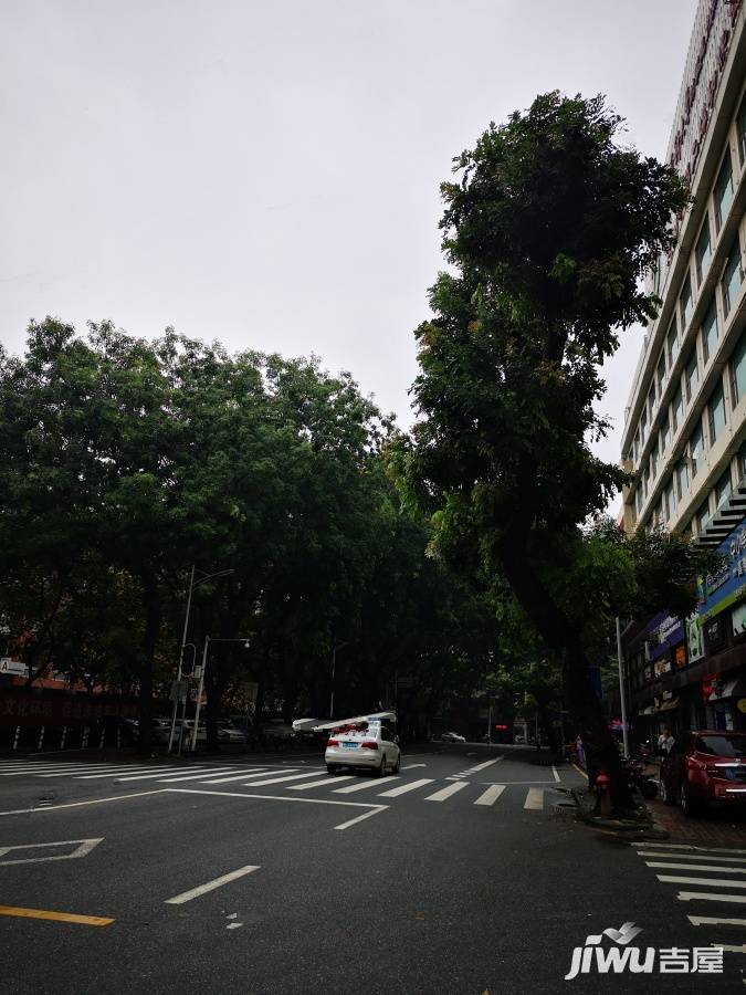 上排苑实景图图片