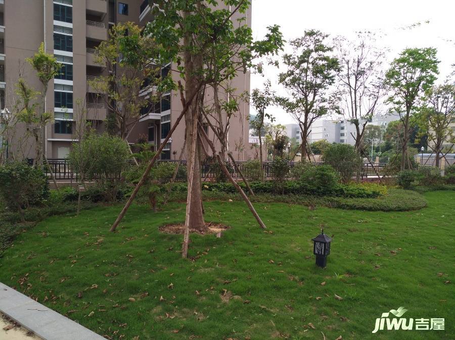 春天园实景图图片