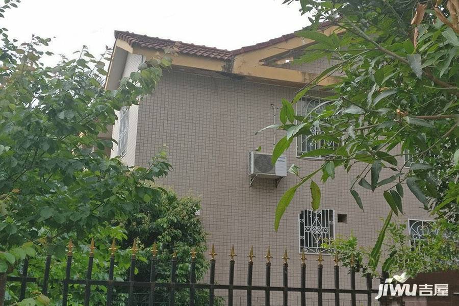 金湖园实景图图片