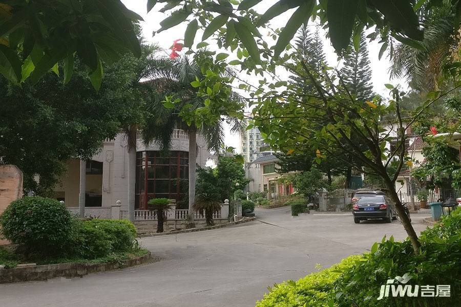 金湖园实景图图片