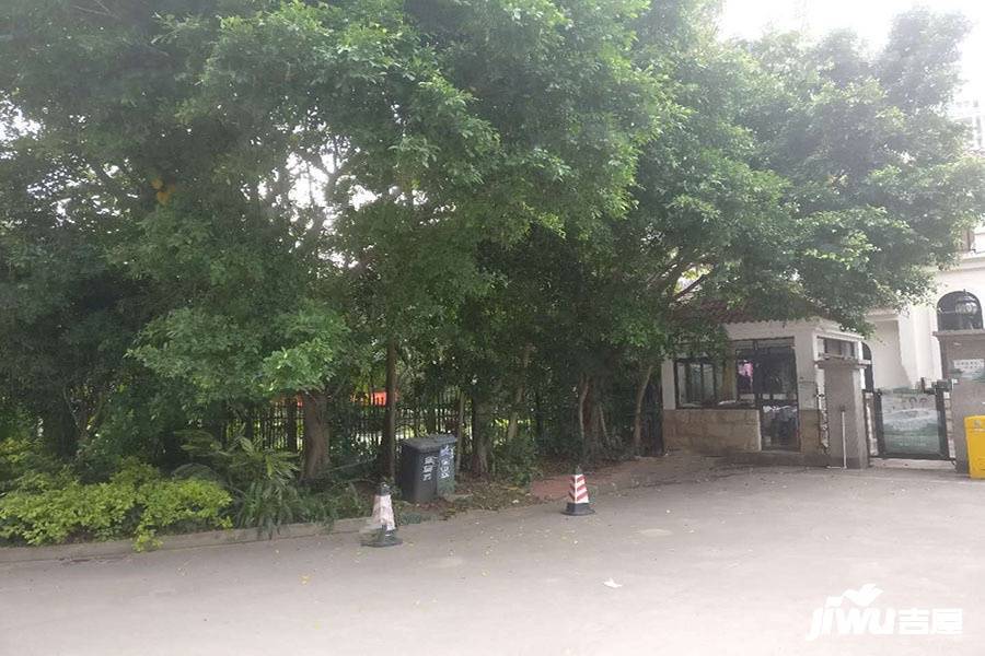 金湖园实景图图片