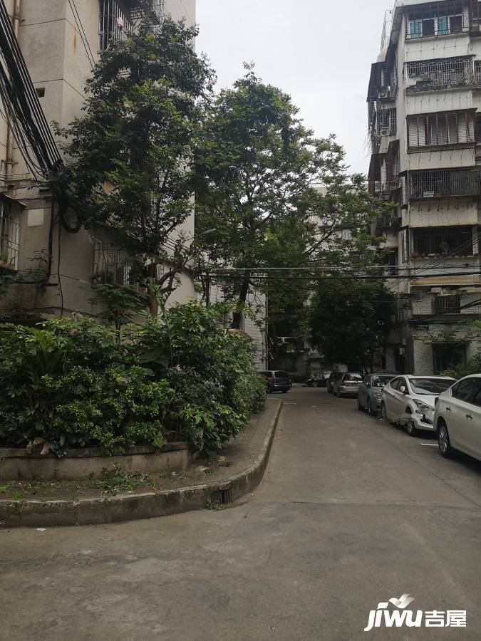 莲子塘小区实景图图片