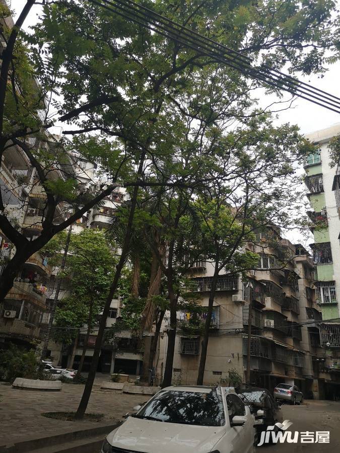 莲子塘小区实景图图片