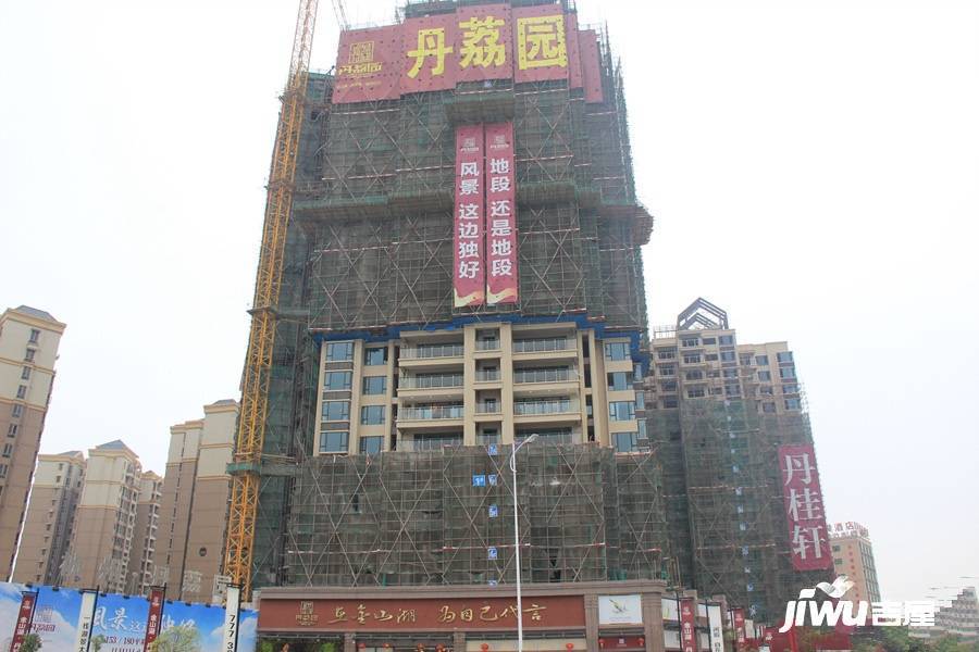 金山湖·丹荔园商铺实景图图片