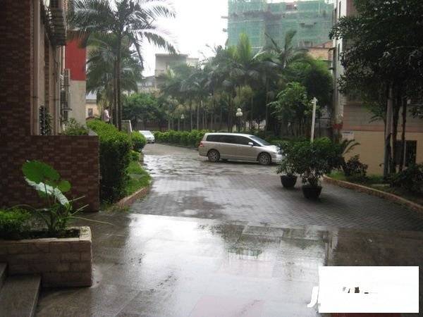 金典故事商铺实景图图片