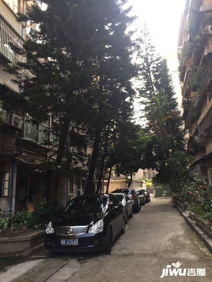 林业局老宿舍实景图图片