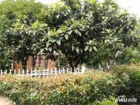 尚城国际花园别墅实景图图片