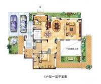 绿地梧桐院别墅1室1厅1卫220㎡户型图