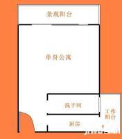 佛山中环广场1室1厅1卫33㎡户型图